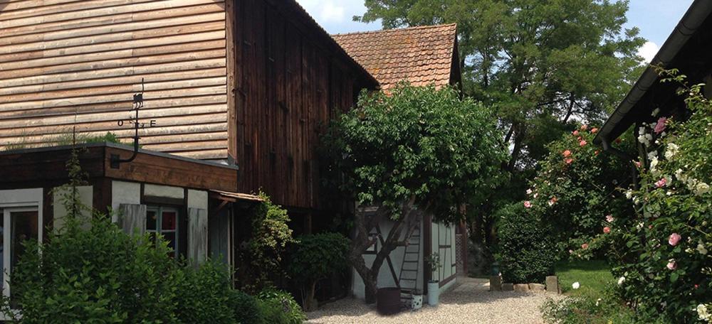 Le Sechoir Du Ried Lägenhet Rossfeld Exteriör bild